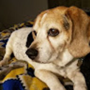 Meet your Posher, Val